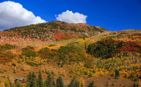 Őszi Lombozat Colorado Sziklás Hegyein — Stock Fotó