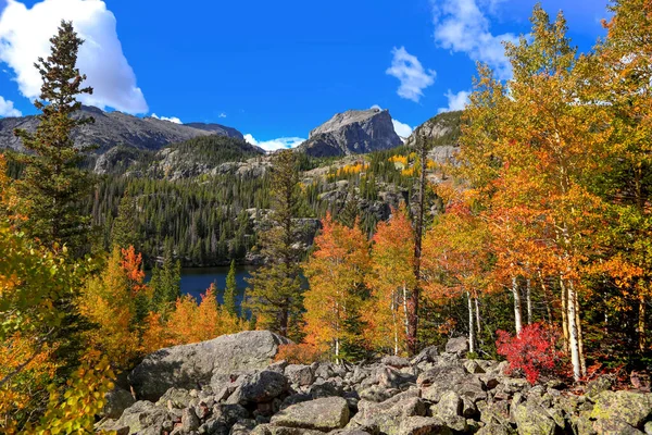 Krajobraz Jeziora Scenic Bear Parku Narodowym Rocky Mountain — Zdjęcie stockowe
