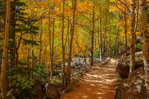 Julgamento Montanha Através Árvores Aspen Outono — Fotografia de Stock