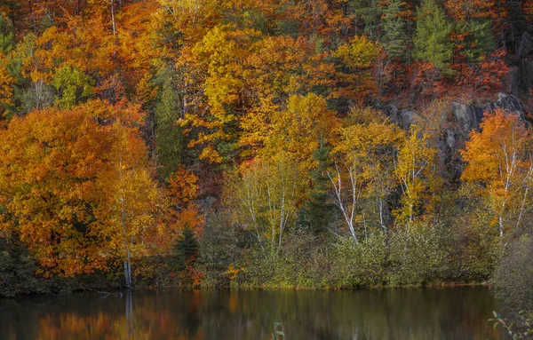 Val Gebladerte Door Riviere Saint Maurice Herfst Tijd Buurt Van — Stockfoto