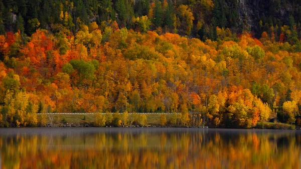 Podzimní Listí Riviéry Saint Maurice Podzimním Období Grand Mere Provincii — Stock fotografie