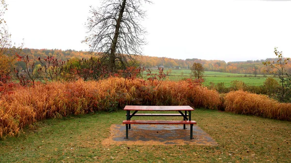 Picnic Bench Rural Quebec Park Autumn Time — Stock Photo, Image