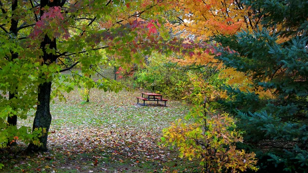 秋のケベック州の農村公園のピクニックベンチ — ストック写真