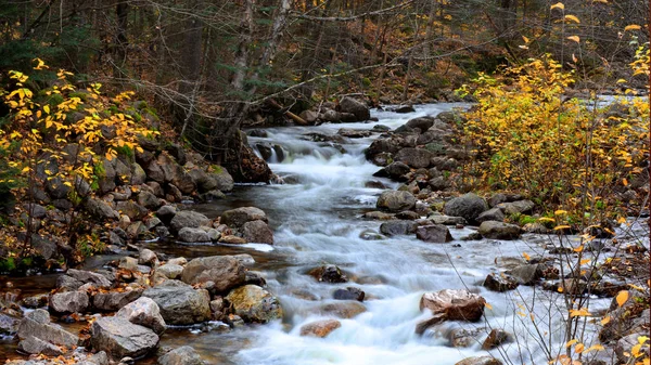 Voda Padá Venkovském Quebecu Podzim — Stock fotografie
