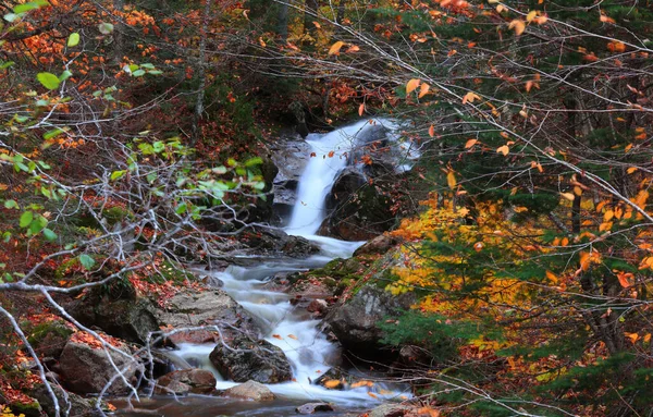 Voda Padá Venkovském Quebecu Podzim — Stock fotografie