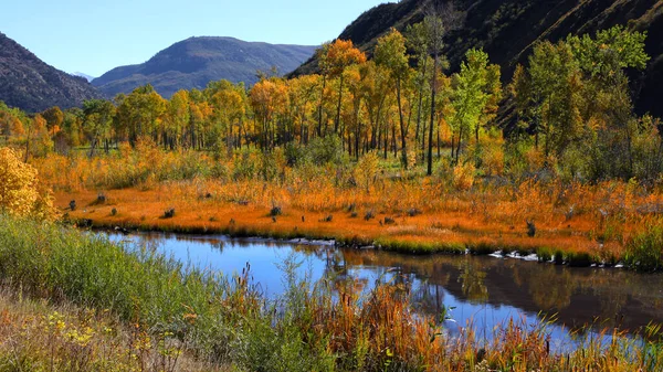 Aspen Topolu Stromy Coloradu Počátkem Podzimní Čas — Stock fotografie