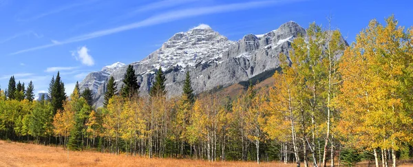 Alberi Autunnali Dal Sentiero Kananaskis Nel Parco Nazionale Banff — Foto Stock