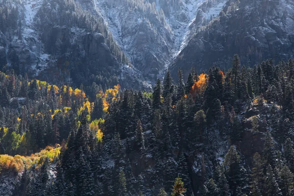 Herbstbäume Und Schnee Auf Den Bergen Von San Juan — Stockfoto