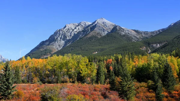 バンフ国立公園の風景秋の風景 — ストック写真