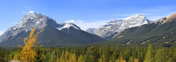 Canadese Rotsachtige Bergen Herfst — Stockfoto