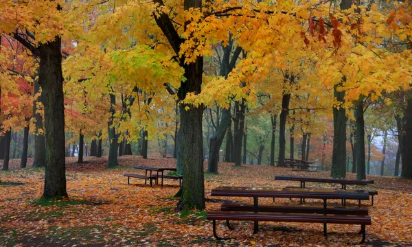 Mont Royal Park Montreal Hösten — Stockfoto