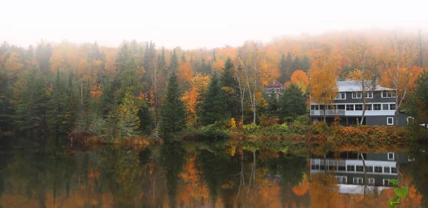 Panoramic view of autumn tree reflections in the lake