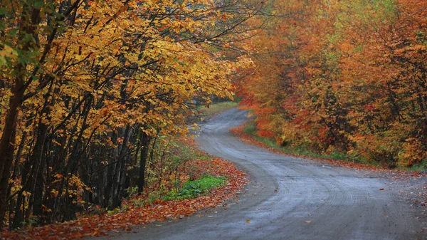 Scenic Road Quebec Countryside Autumn Time — Stock Photo, Image