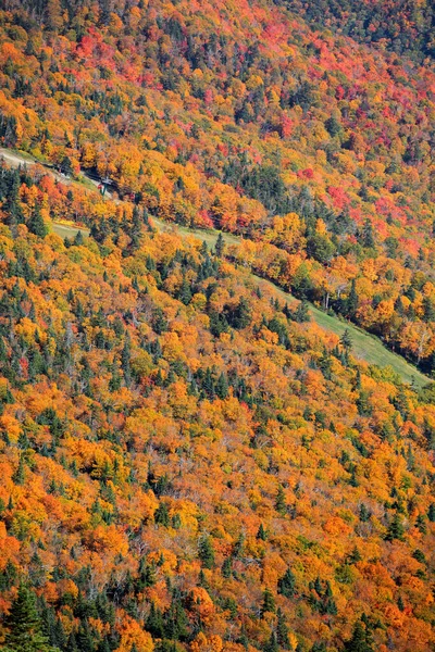 Sípályák Mount Mansfield Közelében Stowe Város Vermont — Stock Fotó