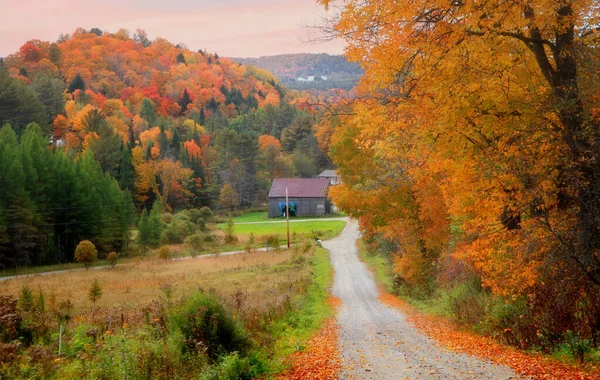 Promenade Automne Dans Vermont Rural — Photo