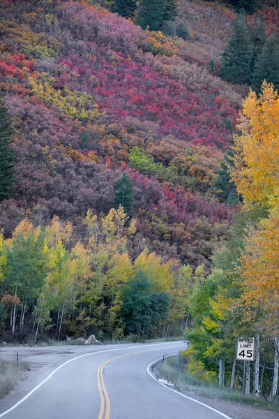 Malownicza Górska Przejażdżka Pobliżu Aspen Colorado — Zdjęcie stockowe