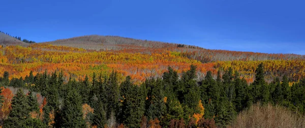Paesaggio Autunnale Colorado Montagne Rocciose Lungo Strada Panoramica — Foto Stock