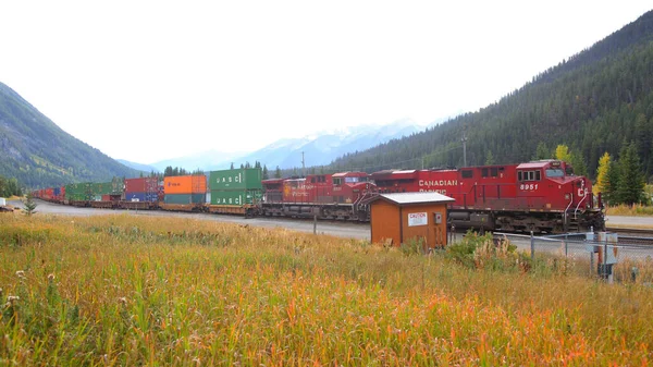 Field Canada Sep 2017 Canadian Pacific Train Carrying Containers Canadian — стоковое фото