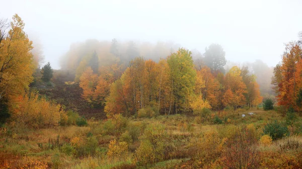 ケベック州の田舎の秋の木は霧に巻き込まれた ストック写真