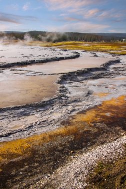 Yellowstone Ulusal Parkı 'ndaki Midway gayzer yakınlarında oluşumlar