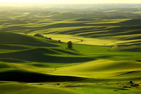 Aerial View Palouse Landscape Steptoe Butte — Stock Photo, Image