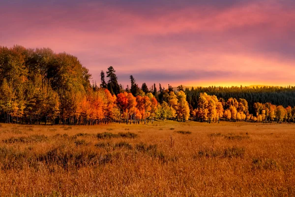 Gran Tetons国家公园五彩缤纷的秋树 — 图库照片