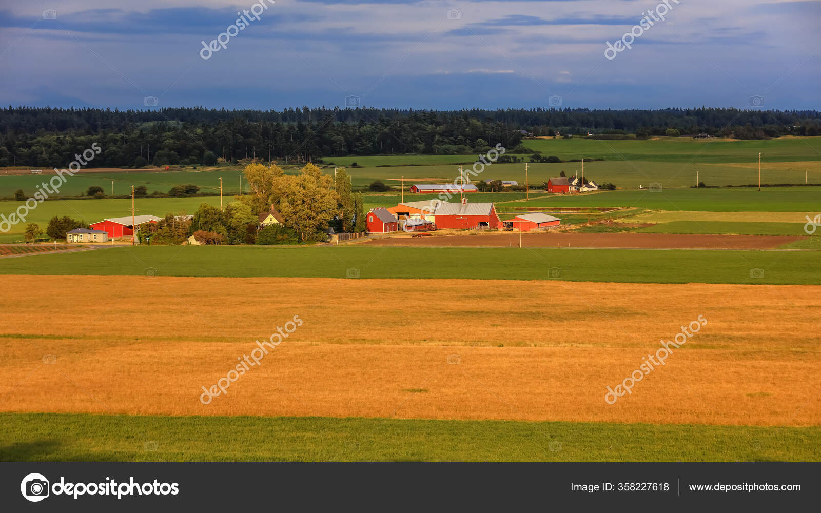 Farm View Scenic Whidbey Island Washington State — Stock Photo