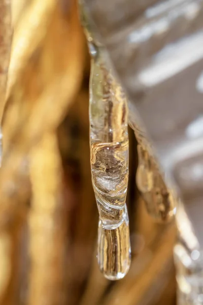 Close Shot Long Tiny Icicle — Stock Photo, Image