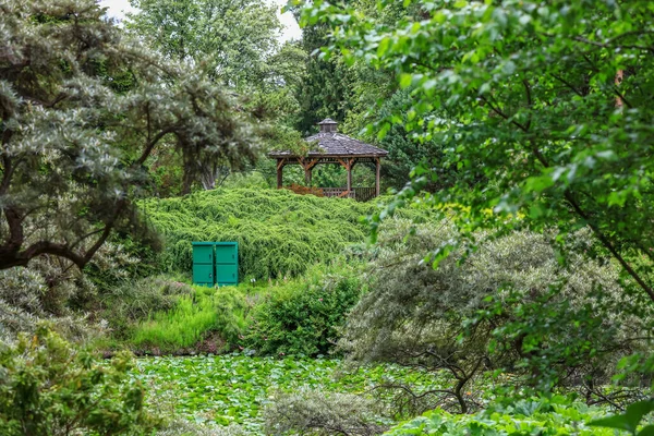 Jardines Botánicos Vandusen Ciudad Vancouver —  Fotos de Stock