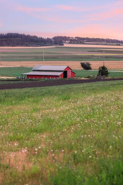 Farm Kilátás Festői Whidbey Sziget Washington Állam — Stock Fotó