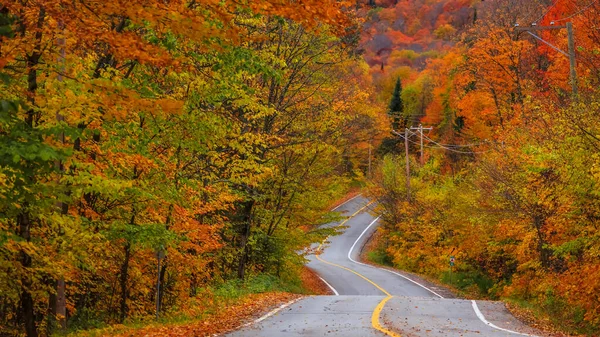 Passeio Outono Cênico Quebec Rural — Fotografia de Stock