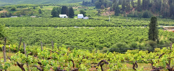 Winery Leavenworth Washington — Stock Photo, Image