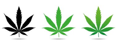 Kenevir yaprağı simgeleri ayarlandı. Indica Sativa 'nın yeşil silueti beyaz arkaplanı izole etti. Vektör illüstrasyonu