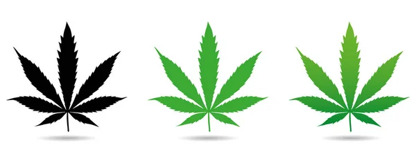 Kenevir yaprağı simgeleri ayarlandı. Indica Sativa 'nın yeşil silueti beyaz arkaplanı izole etti. Vektör illüstrasyonu