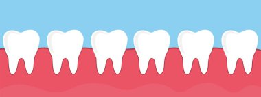 Sakızdaki dişler, vektör illüstrasyonu