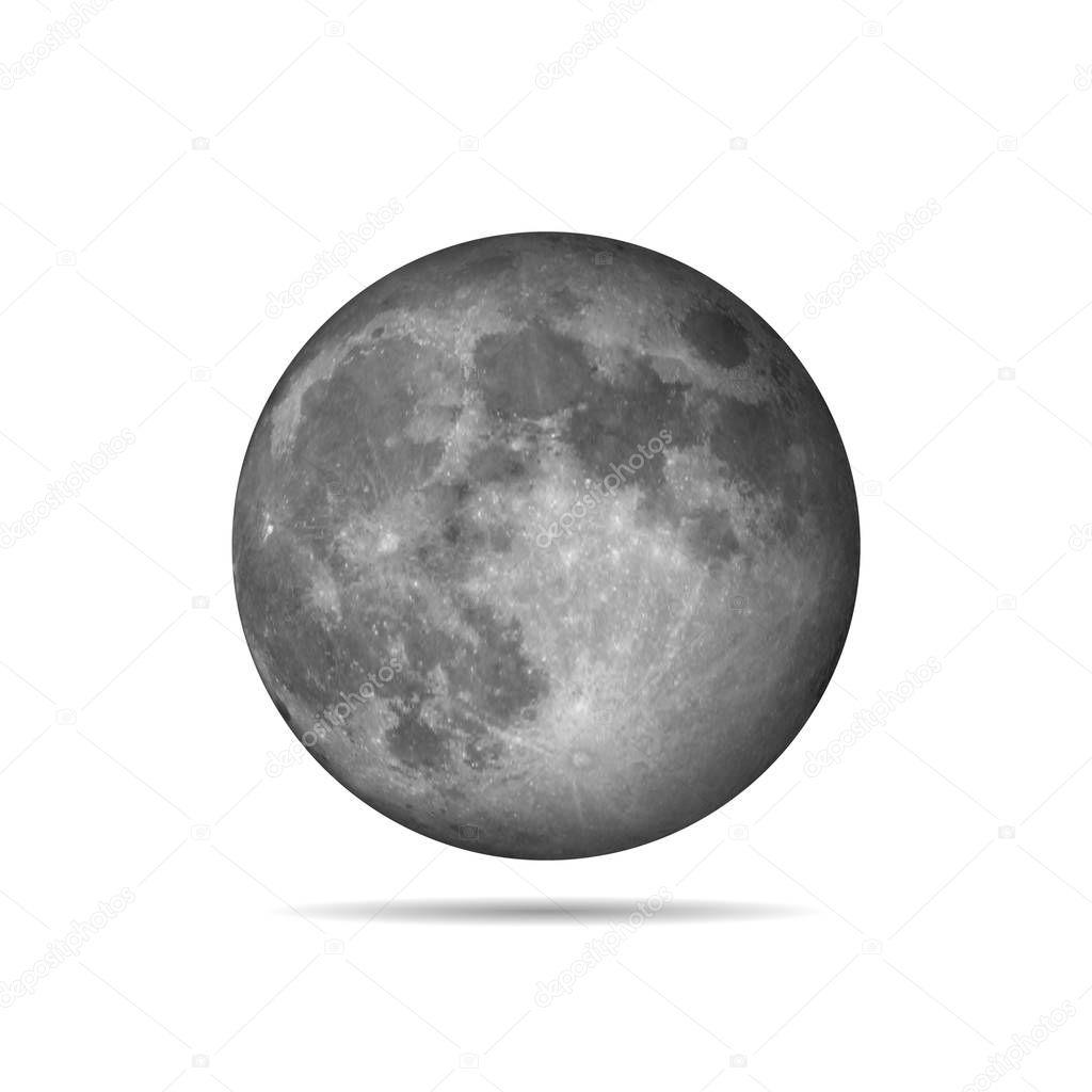 Vector realistic moon. Vector illustration