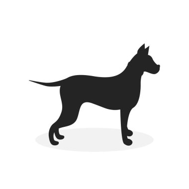 Beyaz arkaplanda bir köpek labradorunun vektör görüntüsü.