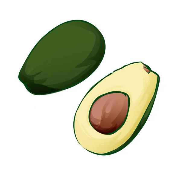 Vectorillustratie. Snijd groene en rijpe avocado op witte achtergrond — Stockvector