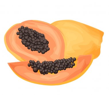 Beyaz izole papaya. Kestane veya papaya yenilebilir egzotik meyve denir. Çizgi film vektör çizim