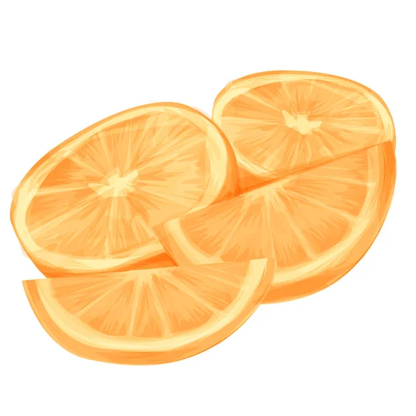 Naranja entera y rodajas de naranjas. Ilustración vectorial de naranjas. Estilo de dibujos animados. Aislado — Vector de stock