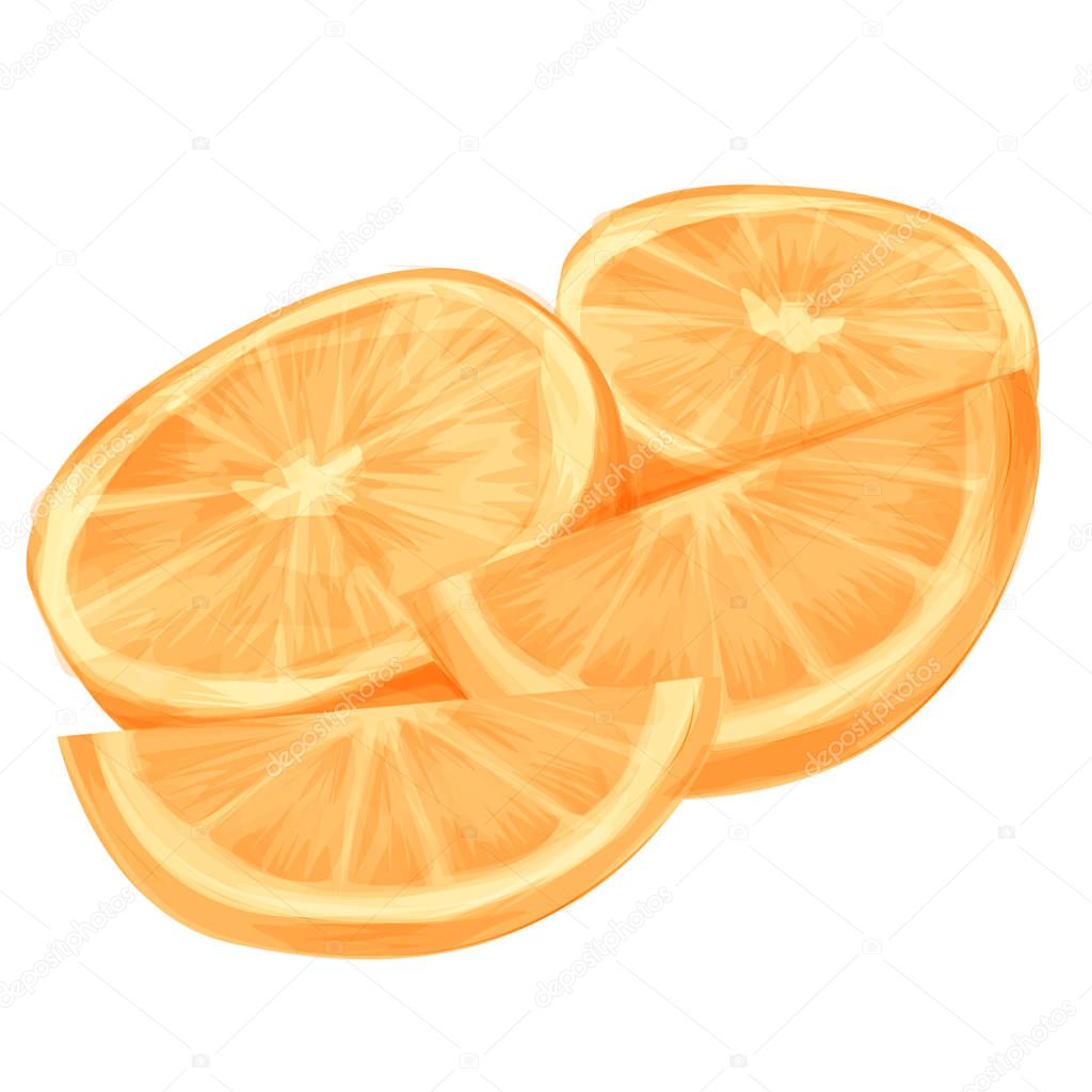 Orange whole and slices of oranges. Vector illustration of oranges. Cartoon style. Isolated