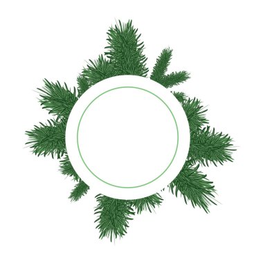 Noel ağacı dalları, vektör arka plan şeffaf şekil