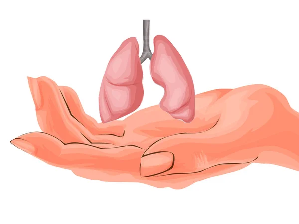 Des Poumons Humains Dans Les Mains Transplantation Traitement Des Poumons — Image vectorielle