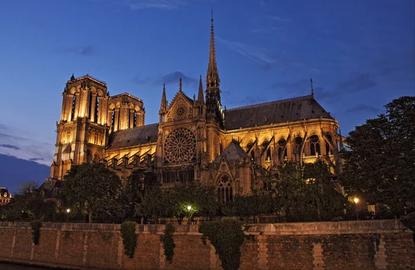 Catedral de Notre Dame al atardecer — Foto de Stock