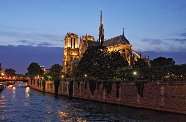 Katedra Notre Dame, o zachodzie słońca. Paryż — Zdjęcie stockowe