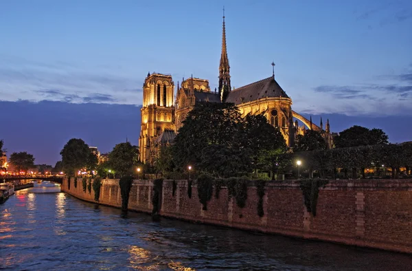 De kathedraal van de Notre Dame bij zonsondergang. Parijs Stockfoto