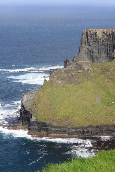 Scogliere di Moher — Foto Stock