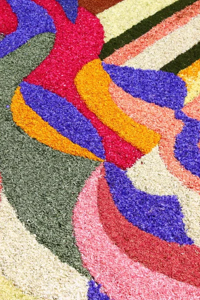 色とりどりの花のじゅうたん — ストック写真