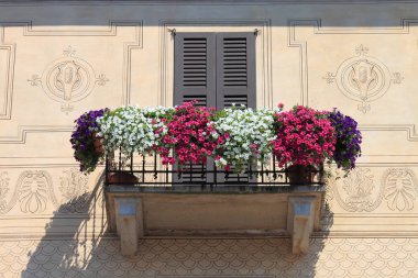 balkon saksı ile