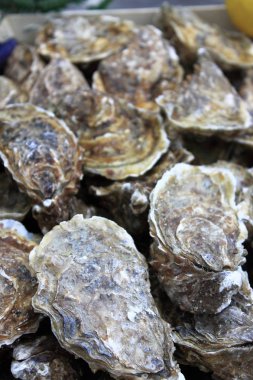 İstiridye demet bir balık pazarında Satılık